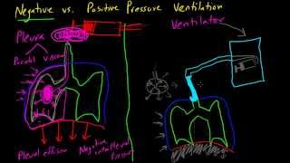 Negative vs Positive Pressure Ventilation [upl. by Fugate]