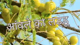 आंवला के लड्डू Amla Laddu Amla ke Laddu Recipe  kanchankikitchen youtube [upl. by Eenwahs]