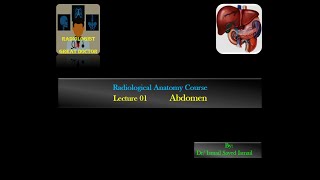 Radiological Anatomy Course Lecture 01 Abdomen Part3 [upl. by Ardeed]