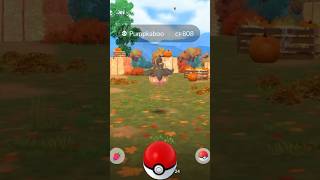 Catching a Pumpkaboo in Pokémon Go [upl. by Semreh489]