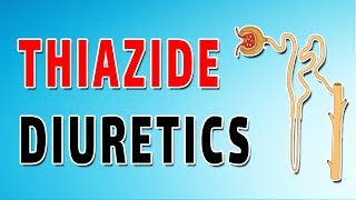 Thiazide Diuretics Mechanism and Side Effects [upl. by Odlaniger598]