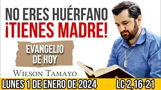 Evangelio de hoy LUNES 1 de ENERO LC 21621  Wilson Tamayo  Tres Mensajes [upl. by Llertnod]