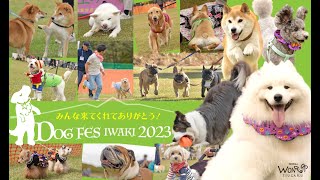 DOG FES IWAKI 2023 [upl. by Assed871]