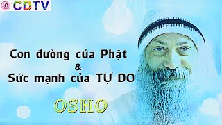 Osho sách nóiSức mạnh của tự dothư giãnngủ ngontrích ch 1amp3Dhammapada t 10con đường của Phật [upl. by Bronson]