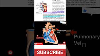 Double circulation human heart life processes humanheart Viral ViralShorts ncert cbse [upl. by Ellemrac]