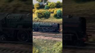 N Scale steam locomotive passing by [upl. by Yrtua]