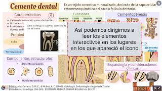 ¿Cómo visualizar una infografía interactiva en Genially [upl. by Aiet]