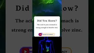 The acid in your stomach is strong enough to dissolve zinc [upl. by Ahtamas]