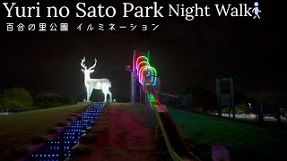 散策 福井県 坂井市 百合の里公園のイルミネーション 夜歩き 観光旅行 [upl. by Anesor]