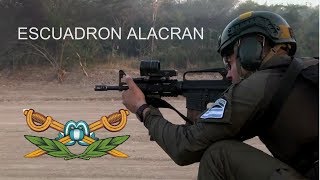 Fuerzas Especiales de la Gendarmeria Nacional Argentina ALACRAN  Argentine Gerndarmerie GIGN [upl. by Lleksah923]