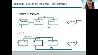 How to series Biological Phosphorus Removal [upl. by Urata]