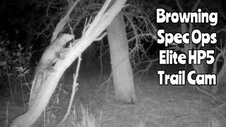 Browning Spec Ops Elite HP5 Trail Camera Aug 7 Sept 5 2024 [upl. by Jeuz]