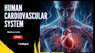 Cardiovascular System  Human Cardiovascu  Cardiology  Blood Circulation  Physiology  Animation [upl. by Natala]