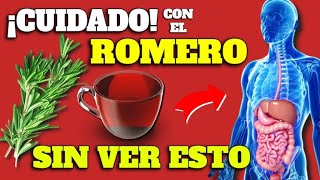 ¡ROMERO SÚPER PLANTA MEDICINAL con PODERES ANTIINFLAMATORIOS ANTIOXIDANTES y ANTIBIÓTICOS [upl. by Eivets]