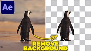 REMOVE BACKGROUND from VIDEO in After Effects  Rotobrush Tutorial [upl. by Naj]