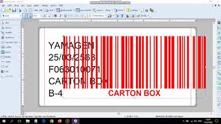 การใช้งาน NiceLabel Pro สร้าง File การเชื่อมต่อฐานข้อมูล Excel [upl. by Coltun911]