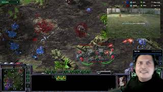 StarCraft 2 Terran vs Zerg The Mermaid next door [upl. by Nnagem134]