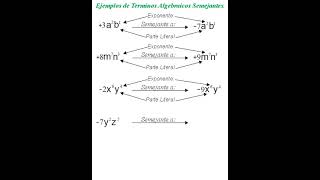 Ejemplos de terminos algebraicos semejantes algebra algebraparatodos algebraelemental [upl. by Pournaras]