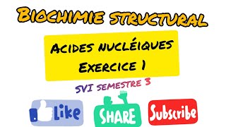 Biochimie structuralExercice 1 sur les acides nucléiques [upl. by Anchie]