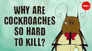 Why are cockroaches so hard to kill  Ameya Gondhalekar [upl. by Nasia]