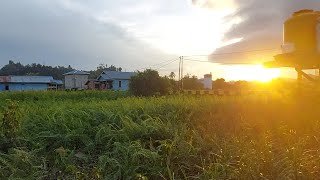 SUASANA MENJELANG BUKA PUASA DI KAMPUNG TANJUNG RUMBIA [upl. by Nairde]