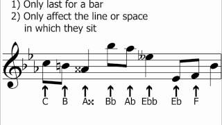 Accidentals amp Semitones halfsteps Explained  Music Theory [upl. by Outlaw]