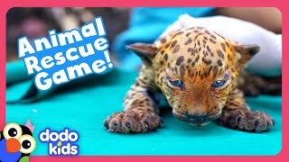 Can YOU Help These Animal Moms Rescue Their Babies  Dodo Kids  Story Game [upl. by Siravaj]