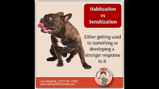 Habituation vs sensitization [upl. by Mis]