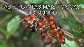 AS 7 PLANTAS MAIS TÓXICAS DO MUNDO 2016 HD [upl. by Ellehcsor155]