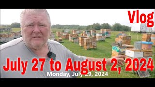 ⏱ Vlog July 27 to August 2That Bee Man [upl. by Ibbor11]