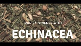 Our Experience with Echinacea Benefits Immune Booster with Echinacea [upl. by Lednahs]