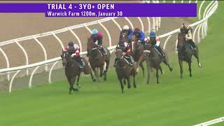 Time Quest wins Warwick Farm Trial [upl. by Imotih]