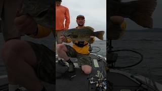 Fishing for giant smallmouth bass [upl. by Fiedling]