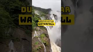 Dudhsagar waterfall  Waterfall trip  Goa Vlog  Goa Tour goa trending travel [upl. by Newel]