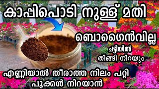 കാപ്പിപ്പൊടി ഉണ്ടോ പത്തുദിവസം കൊണ്ട് പൂക്കൾ നിറക്കാം flowering boost poppy vlogs malayalam [upl. by Tilden]