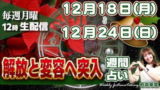 【週間占い】12月18日月〜24日日 太陽山羊座入り、冬至✨自分の魂の役割を現実化するエネルギー！水星逆行、ついに射手座へ戻る 解放と変容 [upl. by Lletram112]