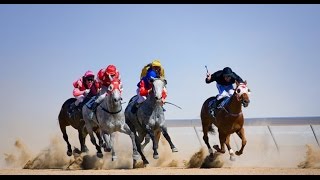 Birdsville Racing Carnival [upl. by Orazio761]