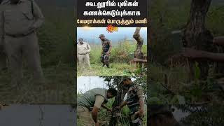 Cameras installed to monitor tiger movement in Gudalur  Sun News [upl. by Akerehs307]