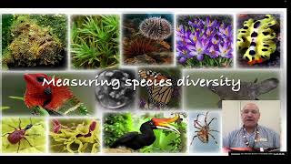 Measuring species diversity [upl. by Ikiv637]