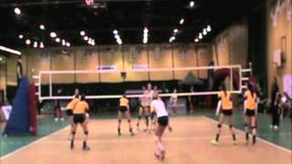 Jolande Amoraal  Libero  Highlight Reel 2015 [upl. by Onitsuaf]