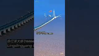 Zhongshan Bridge youtubeshorts youtubeshorts viralshorts shortsvideo zhongshan bridge [upl. by Endo]