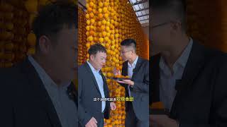 Today I will take you to taste the soft sweet and icy persimmons from Fuping Shaanxi See you [upl. by Nitsew]