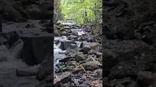 Trail and Tower walk Waterfall water nature lake colors tree heeling trail fall algonquin [upl. by Etteval]