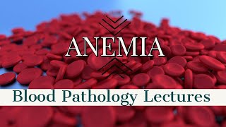 ANEMIA lecture 13 THALASSEMIA with alpha thalassemia and morphology in detail in simple way [upl. by Bearnard]