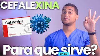 CEFALEXINA PARA QUE SIRVE  3 COSAS  MEDICAMENTOS [upl. by Duomham]