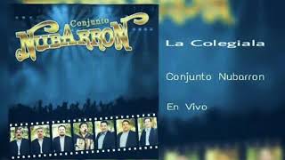 Conjunto Nubarron en vivo La Colegiala [upl. by Dygall]