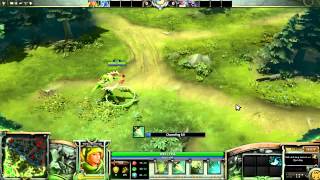 HDDota 2  Windrunner Sparrowhawk All Custom Animation [upl. by Ibby]