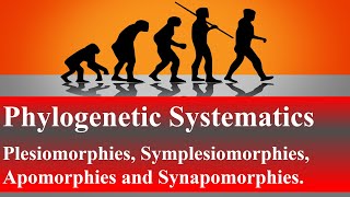 Phylogenetic Systematics Plesiomorphies Symplesiomorphies Apomorphies and SynapomorphiesLesson 6 [upl. by Middleton]