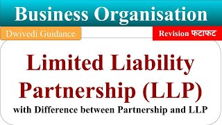 Limited Liability Partnership LLP form of business organisations Business Organisation bcom [upl. by Tinor]