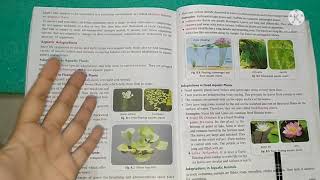 Adaptation science biology chapter 8part 2 for Icse board class 6 [upl. by Bonner644]